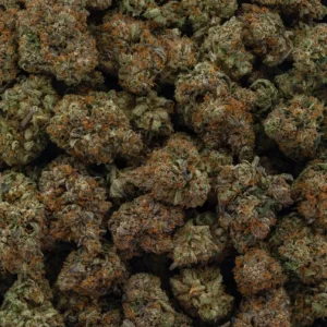 Afghani Goo Weed Strain