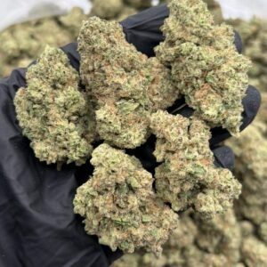 Apple Fritter weed strain