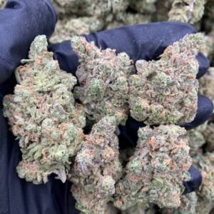Blue Dream weed strain