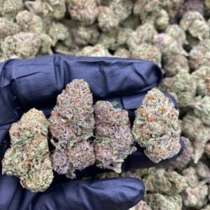 Blue Nerdz weed strain