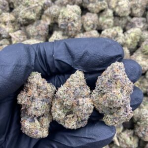 Blueberry Gelato weed strain