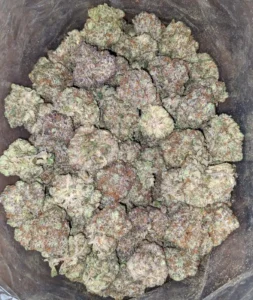 Berry Cheesecake weed strain