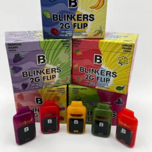 Blinkers 2G Flip Disposable