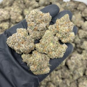 Blueberry Crunch weed strain