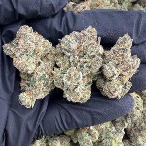 Blumosa weed strain