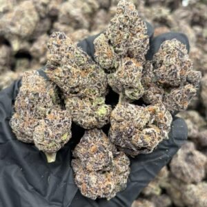 Candy Gusherz weed strain