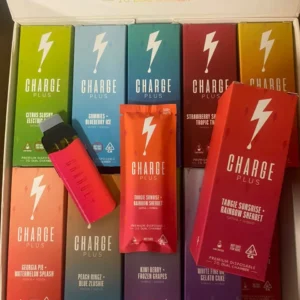 Charge Plus 2G Dual Chamber Disposable