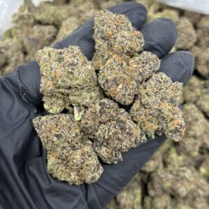 Cherry Soda weed strain