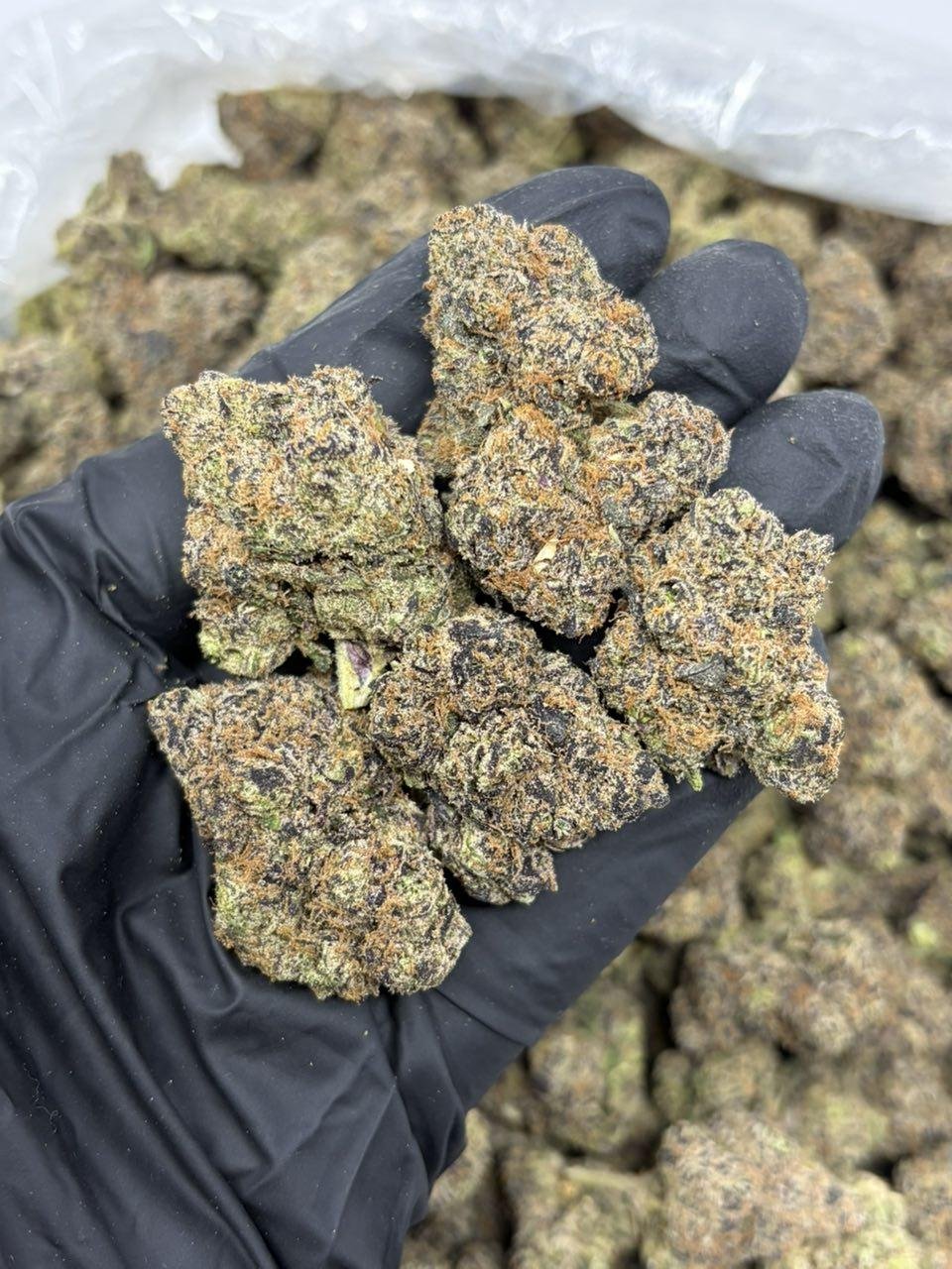 Cherry Soda weed strain
