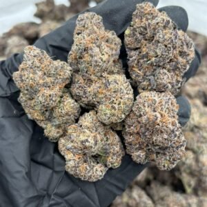Chrome Heart Candies weed strain