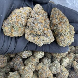 Connected Gelato 41 strain