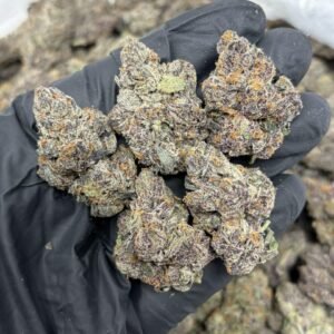 crunch berries weed strain