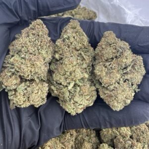 Durban Cookies weed strain