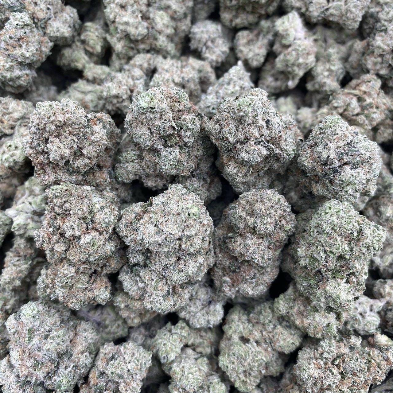 Fruit Runtz weed strain