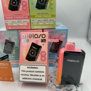Geek Bar 30k Puffs – Meloso
