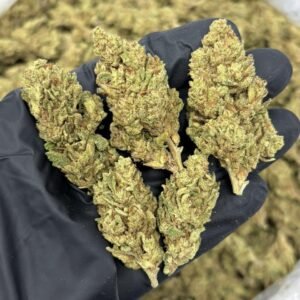 Glitter Bomb weed strain