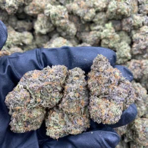 Gorilla Cookies weed strain