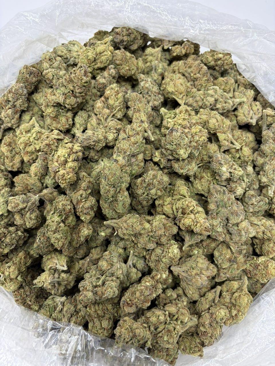 Green Runtz weed strain