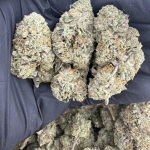 Headband weed strain
