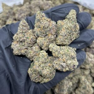 Jelly donut weed strain