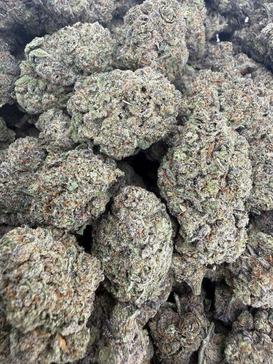 Johnny Dang Runtz weed strain