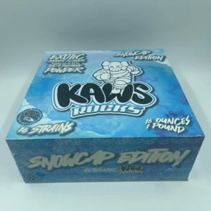 KAWS Rocks Snowcaps Edition
