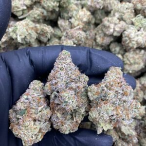 LA Froze weed strain
