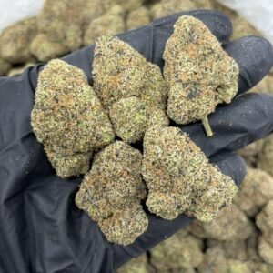 Lemon cherry Ice weed strain