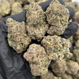 Liquid Ice weed strain