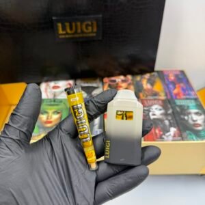 Luigi 2G Disposable