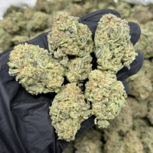 Miracle Alien Cookies 1 strain