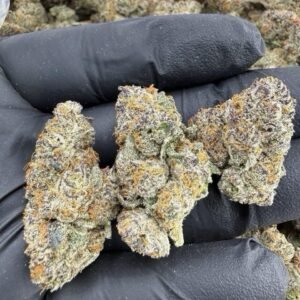 Monster Cookies weed strain