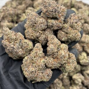 Nuclear Runtz weed strain
