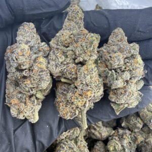 Obama Runtz Weed Strain