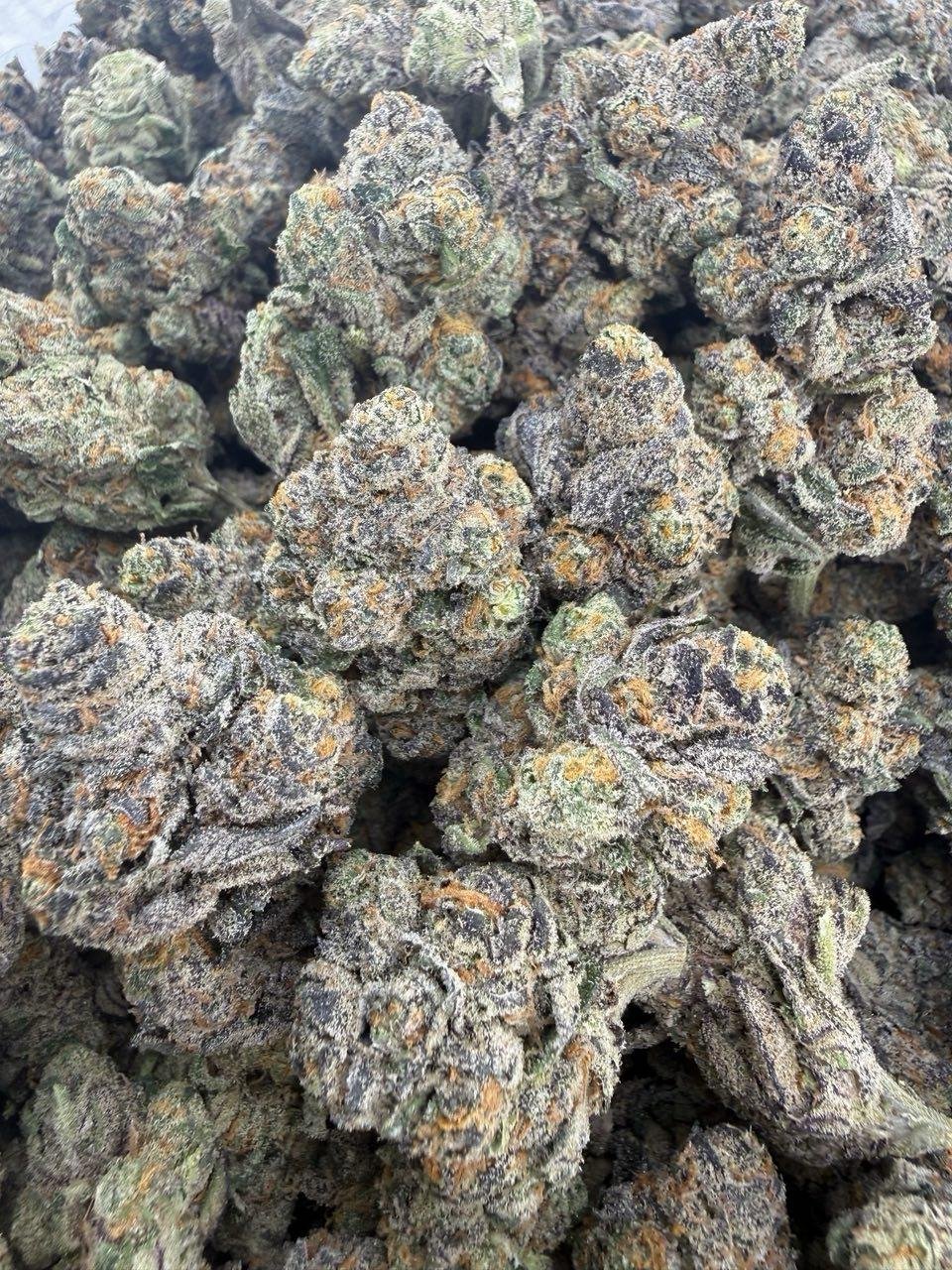 Obama Runtz Weed Strain