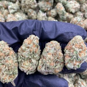 Papaya Punch weed strain