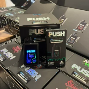 Push 2G Disposable With Screen