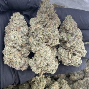 Red Velvet Gary weed strain
