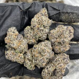Snow Montana weed strain