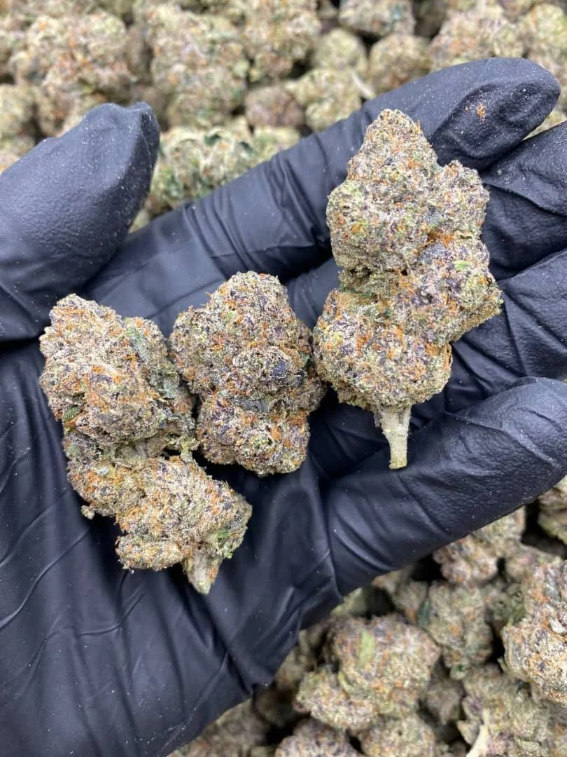Super Lemon Cherry weed strain