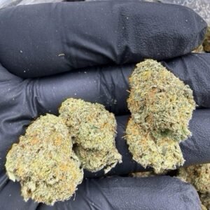 Tenco Blue Zushi weed strain