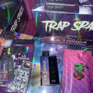 Trap Space 2G Disposable