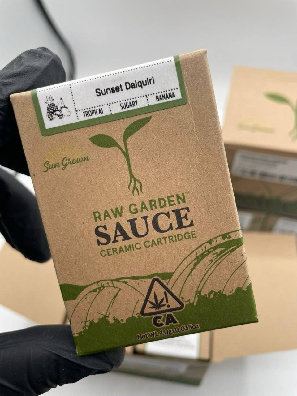 Raw Garden 1G Cartridge Sauce - Image 2