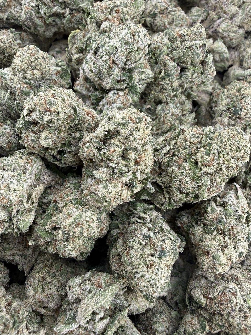 Zkittlez weed strain