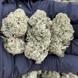 Zkittlez weed strain