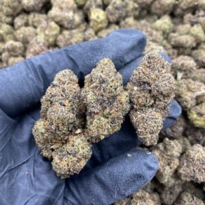 MK Runtz weed strain