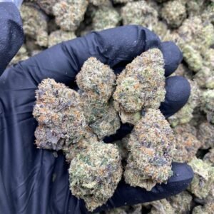 Strawberry Push Pop weed strain