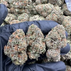 Berry Cream Pie weed strain