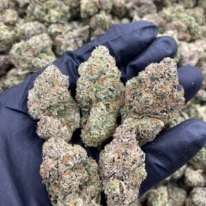Black Runtz weed strain