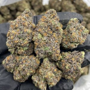 Blue Candy Lemonz weed strain